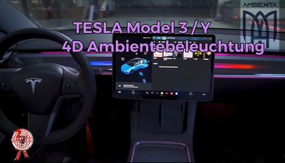 2. Tesla Model 3 / Model Y 3d version
